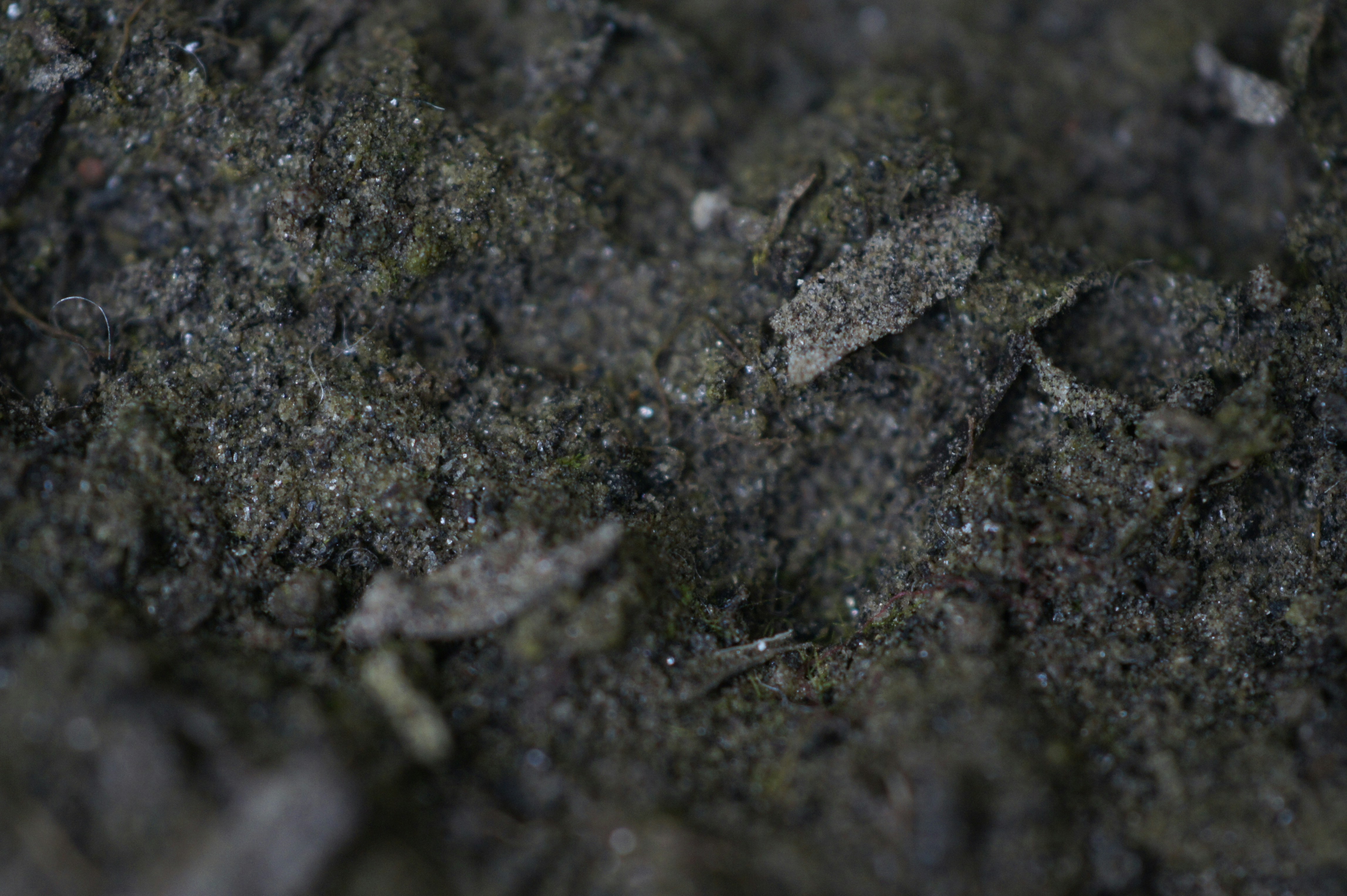Premium Agricultural Biochar