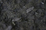 Close-up view of dark soil with small rocks and organic matter, featuring a mix of rough textures and varying shades of brown and dark gray.