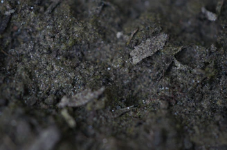 Close-up of rich, dark vermicompost in a burlap sack ready for export.