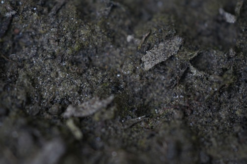 Close-up view of dark soil with small rocks and organic matter, featuring a mix of rough textures and varying shades of brown and dark gray.