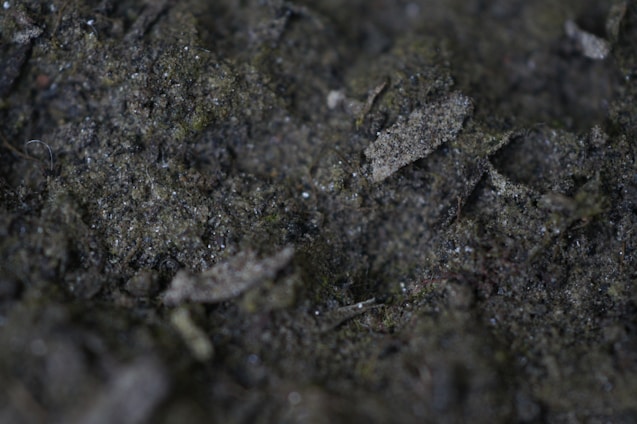 Close-up view of dark soil with small rocks and organic matter, featuring a mix of rough textures and varying shades of brown and dark gray.