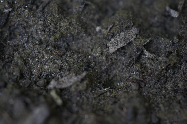 Close-up of rich, dark organic fertilizer granules spilling from a burlap sack.