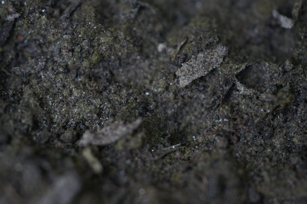 Close-up shot of geologists examining soil samples with lab equipment.