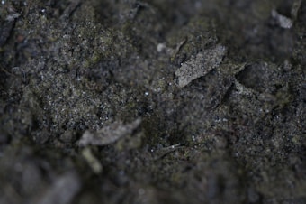 Close-up view of dark soil with small rocks and organic matter, featuring a mix of rough textures and varying shades of brown and dark gray.