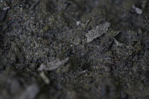 Close-up view of dark soil with small rocks and organic matter, featuring a mix of rough textures and varying shades of brown and dark gray.