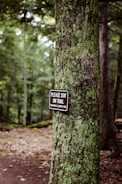 A forest scene with dense, lush green vegetation. A tree trunk in the foreground has a sign attached to it. The sign reads 'PLEASE STAY ON TRAIL ECOLOGICALLY SENSITIVE AREA.' The background shows a dirt path winding through the forest.