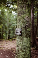 A forest scene with dense, lush green vegetation. A tree trunk in the foreground has a sign attached to it. The sign reads 'PLEASE STAY ON TRAIL ECOLOGICALLY SENSITIVE AREA.' The background shows a dirt path winding through the forest.