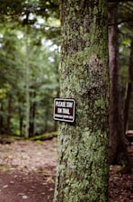 A forest scene with dense, lush green vegetation. A tree trunk in the foreground has a sign attached to it. The sign reads 'PLEASE STAY ON TRAIL ECOLOGICALLY SENSITIVE AREA.' The background shows a dirt path winding through the forest.