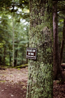 A forest scene with dense, lush green vegetation. A tree trunk in the foreground has a sign attached to it. The sign reads 'PLEASE STAY ON TRAIL ECOLOGICALLY SENSITIVE AREA.' The background shows a dirt path winding through the forest.
