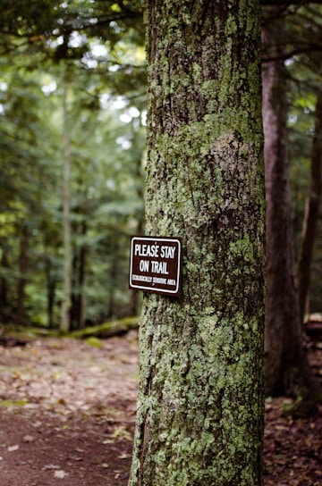 A forest scene with dense, lush green vegetation. A tree trunk in the foreground has a sign attached to it. The sign reads 'PLEASE STAY ON TRAIL ECOLOGICALLY SENSITIVE AREA.' The background shows a dirt path winding through the forest.