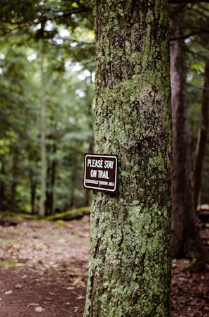 A forest scene with dense, lush green vegetation. A tree trunk in the foreground has a sign attached to it. The sign reads 'PLEASE STAY ON TRAIL ECOLOGICALLY SENSITIVE AREA.' The background shows a dirt path winding through the forest.