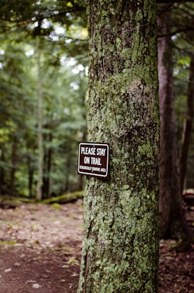 A forest scene with dense, lush green vegetation. A tree trunk in the foreground has a sign attached to it. The sign reads 'PLEASE STAY ON TRAIL ECOLOGICALLY SENSITIVE AREA.' The background shows a dirt path winding through the forest.