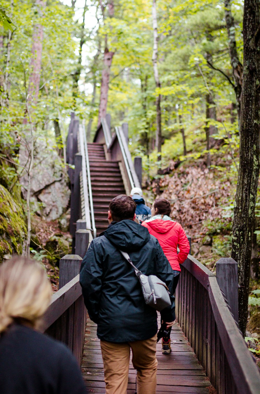 a group of people walking down a wooden walkway