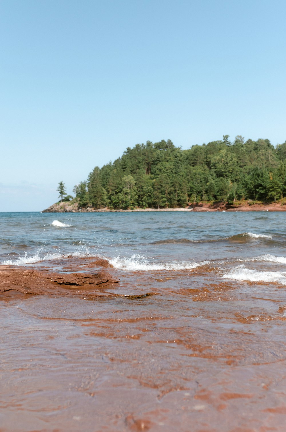 a body of water with trees in the background