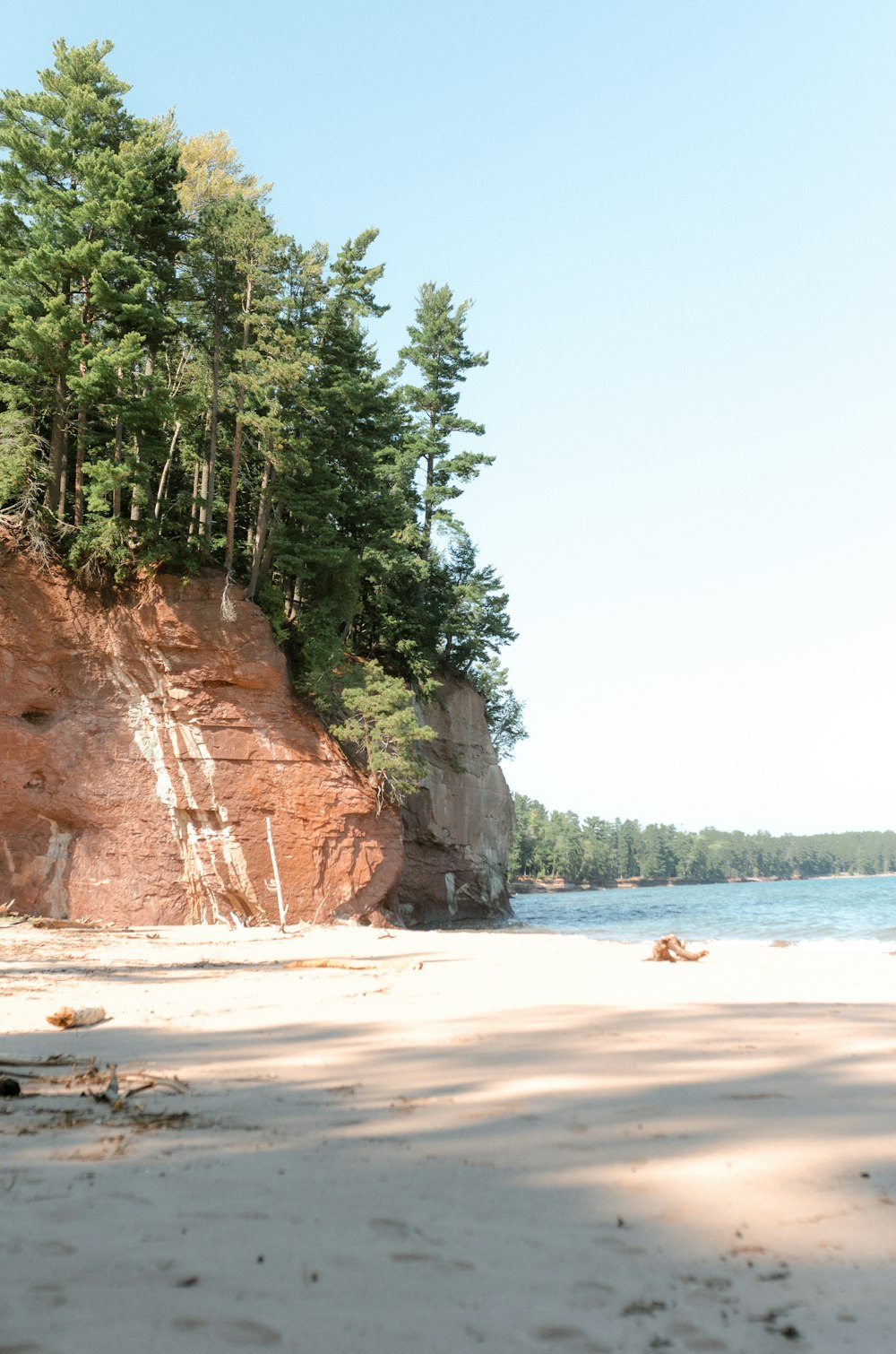 a sandy beach next to a forest covered cliff