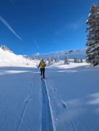 Cross country skier gliding through snowy woods under clear sky.