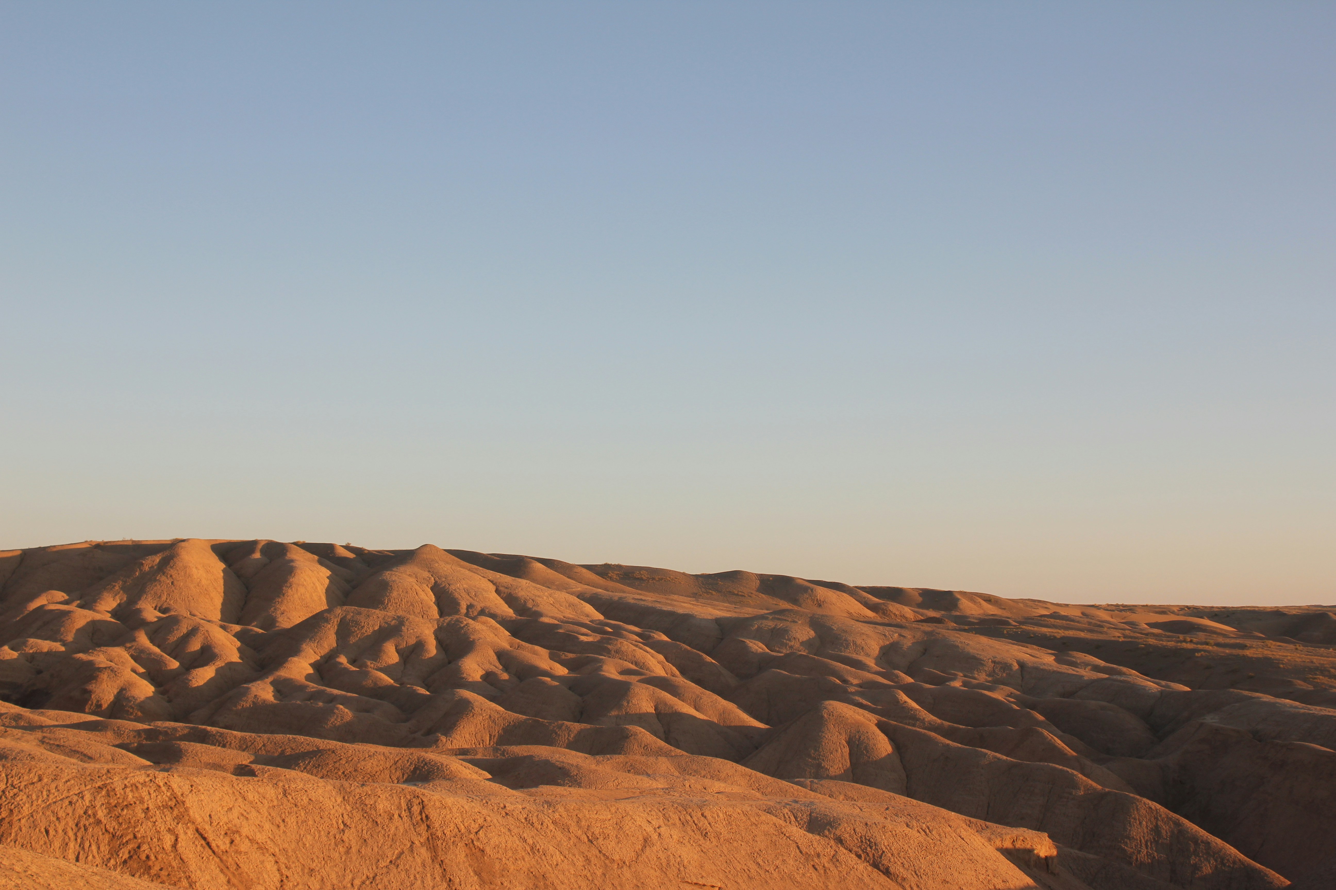 Photo by manavimoghadam