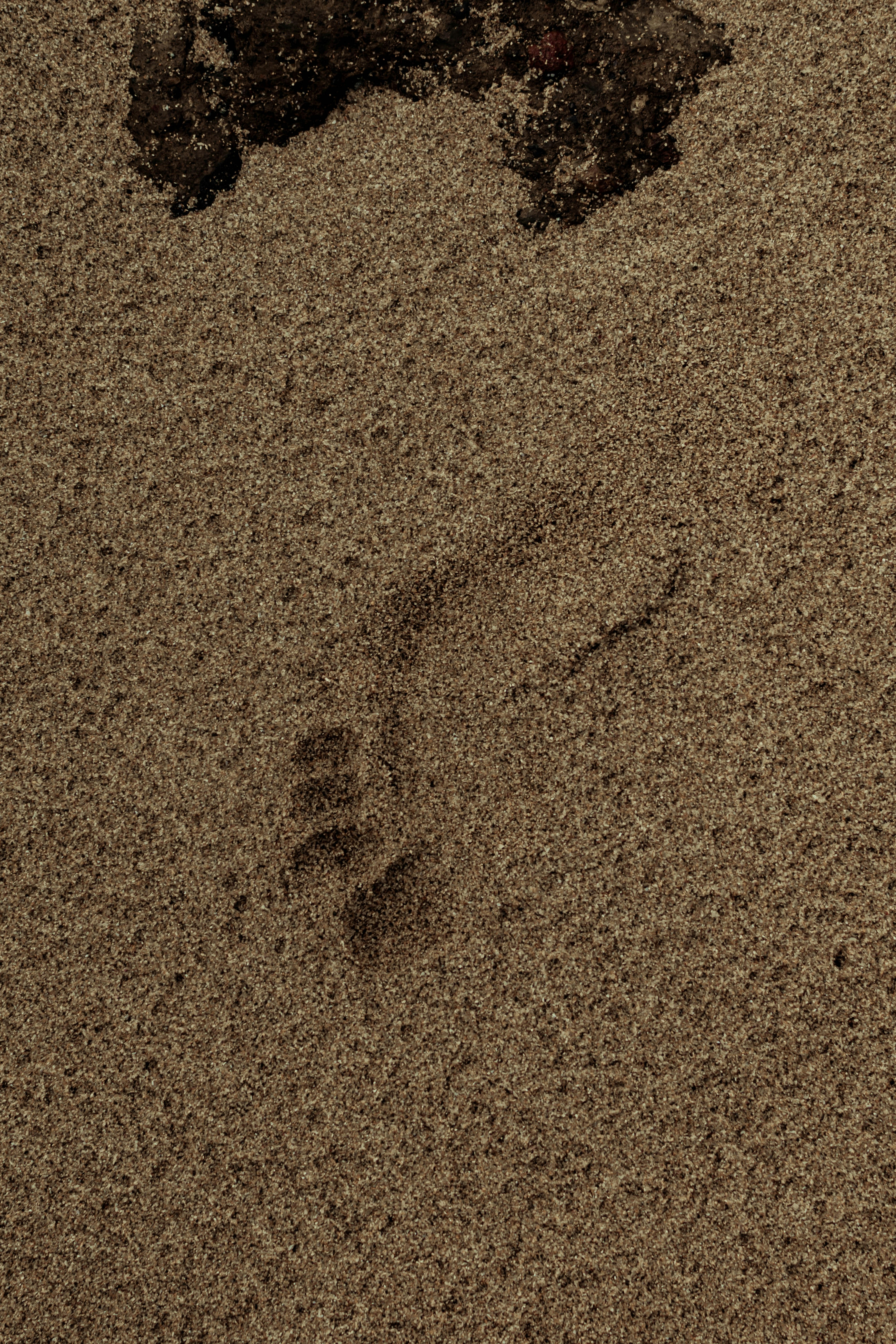 Photo by arlethmaria