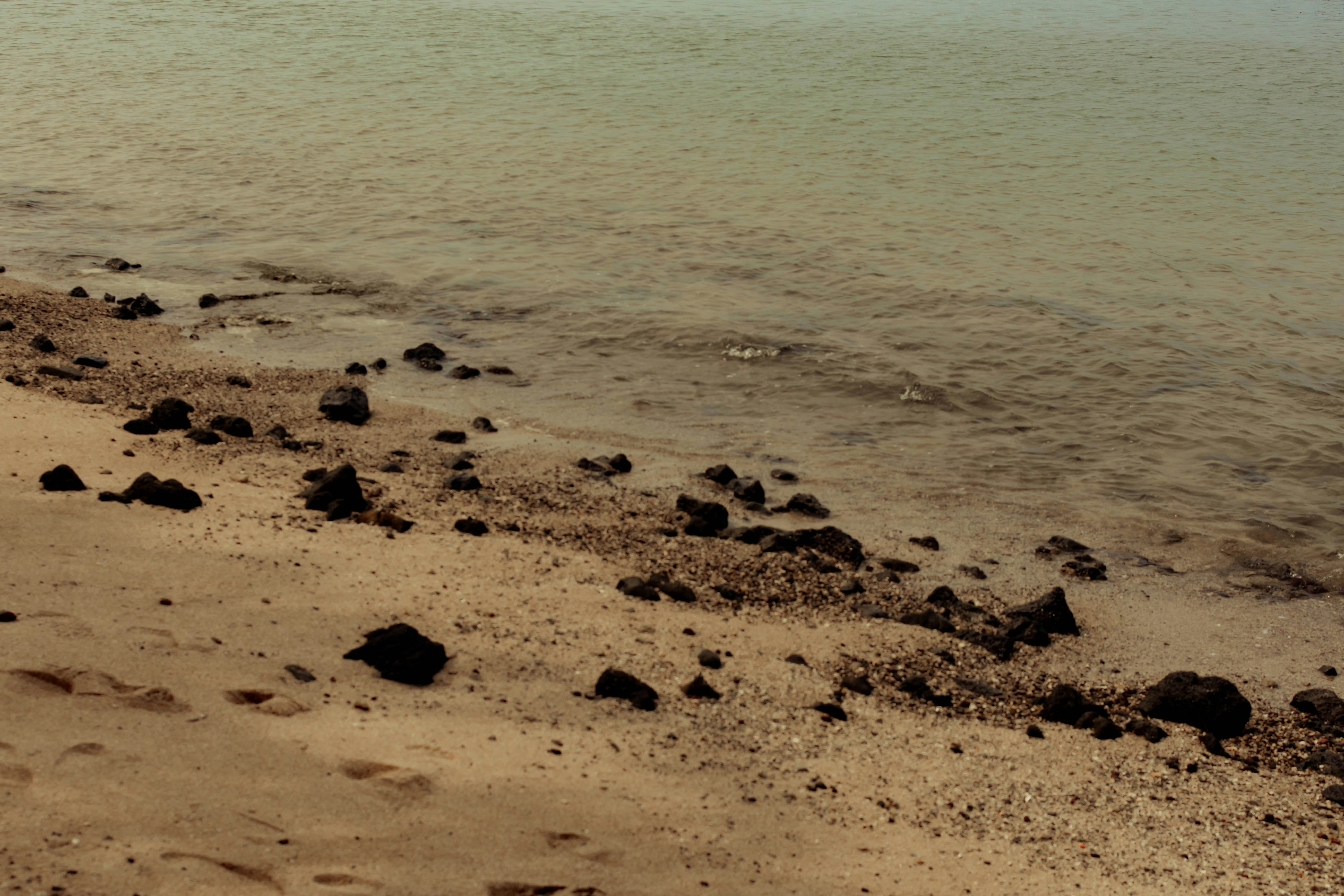 Photo by arlethmaria