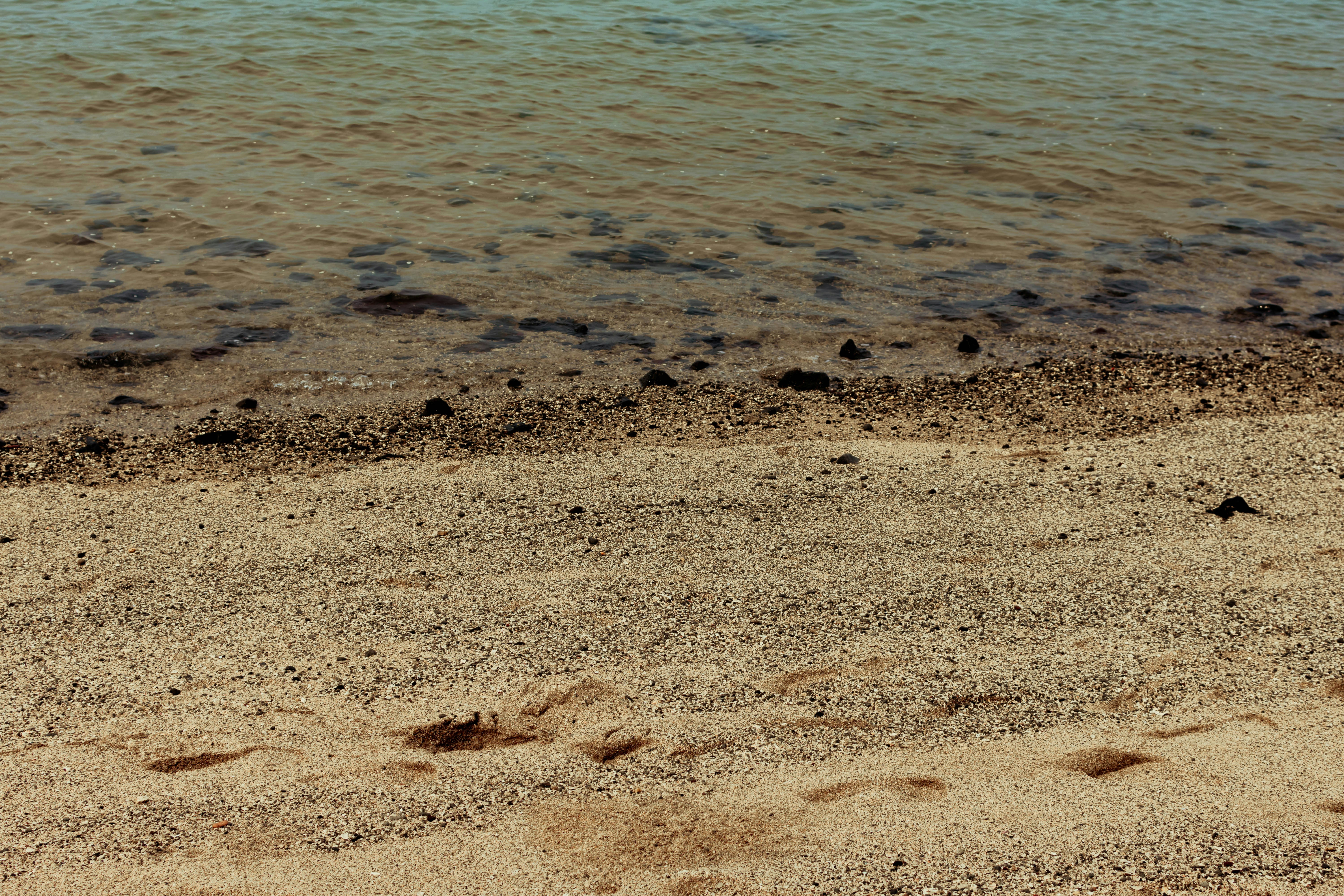 Photo by arlethmaria