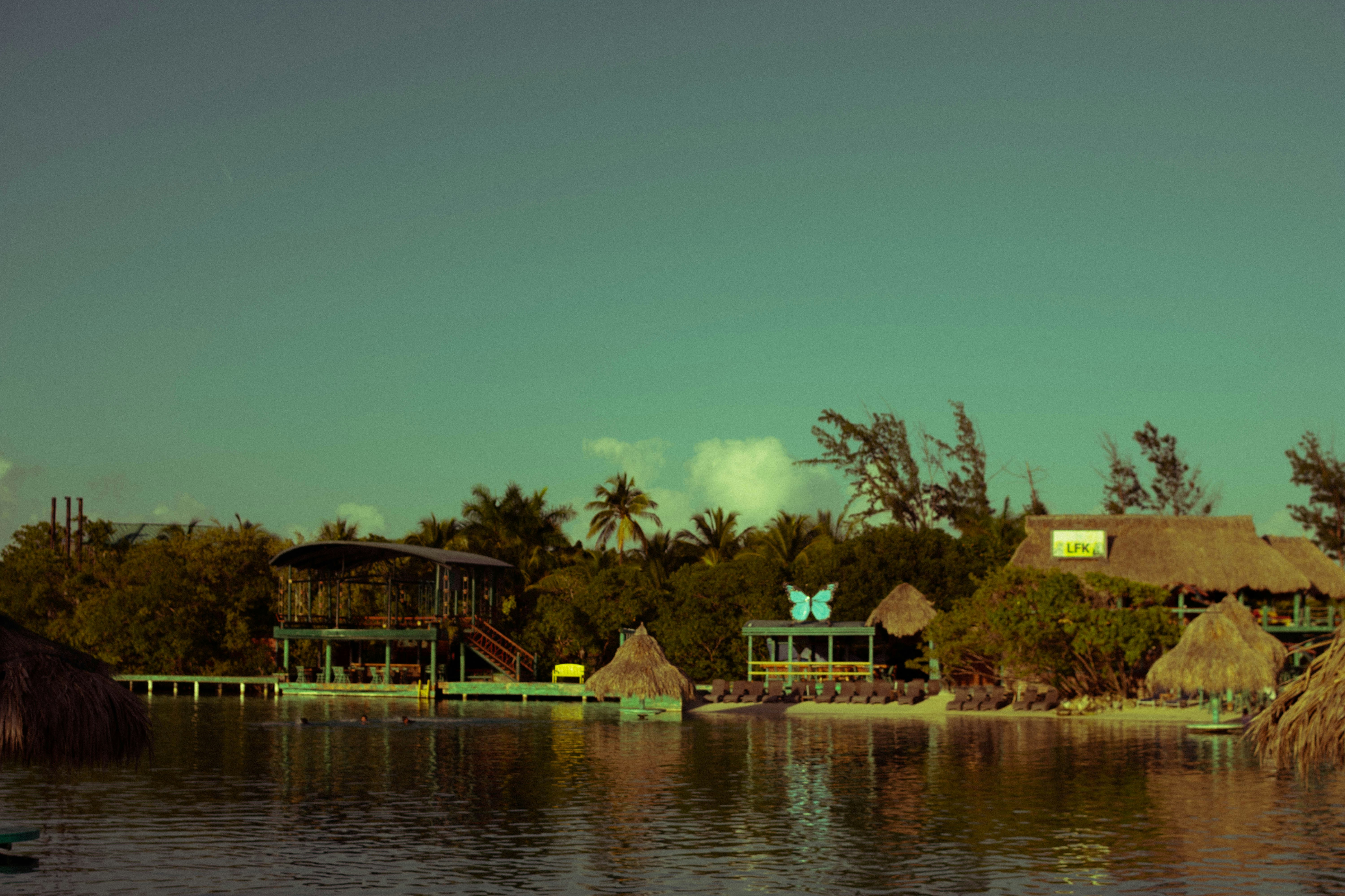 Photo by arlethmaria