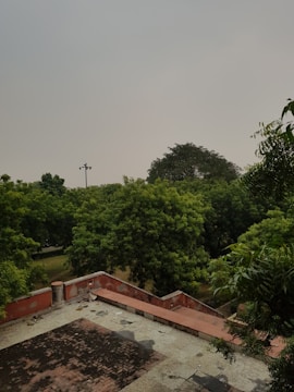 A rooftop area with a weathered surface featuring both tar and concrete patches. Surrounding the rooftop is lush greenery, primarily consisting of dense trees. The overcast sky suggests a cloudy day, and there is a presence of a tall light pole among the trees.