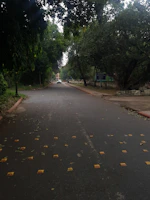 A learner driver carefully navigating a quiet residential street in Luton.
