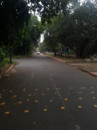 A friendly driving instructor guiding a learner through a quiet suburban street in Havant.