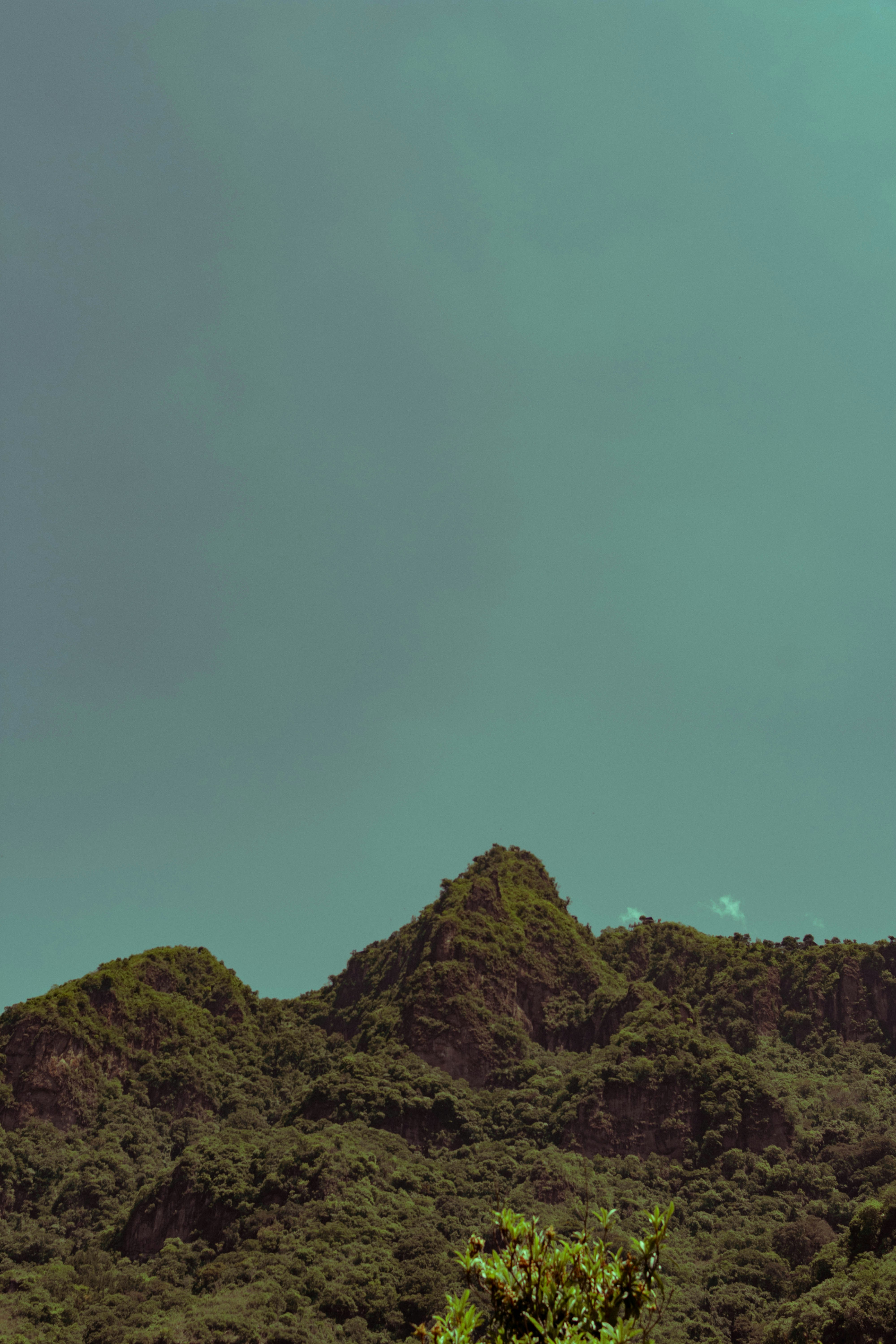 Photo by arlethmaria