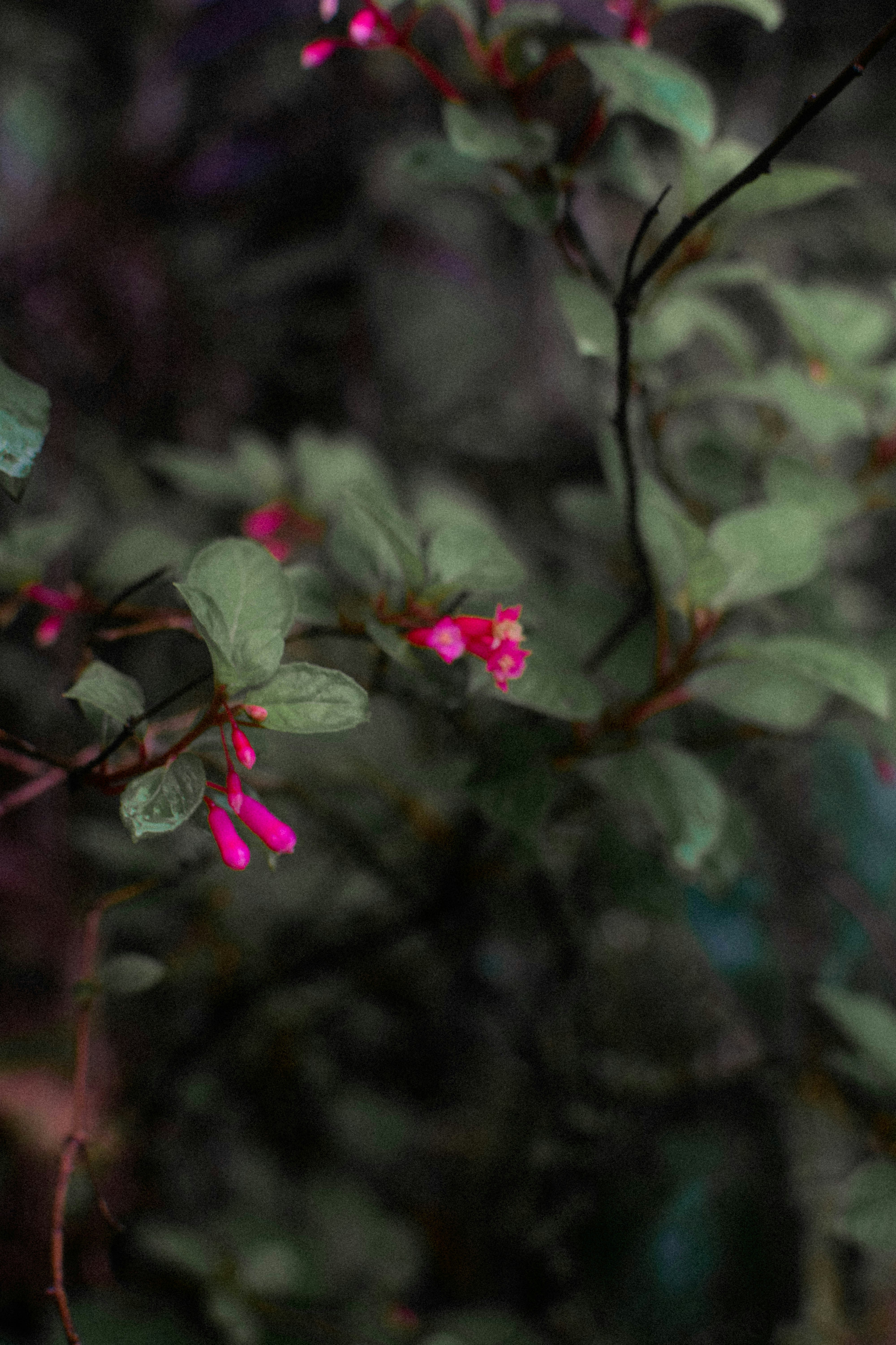 Photo by arlethmaria