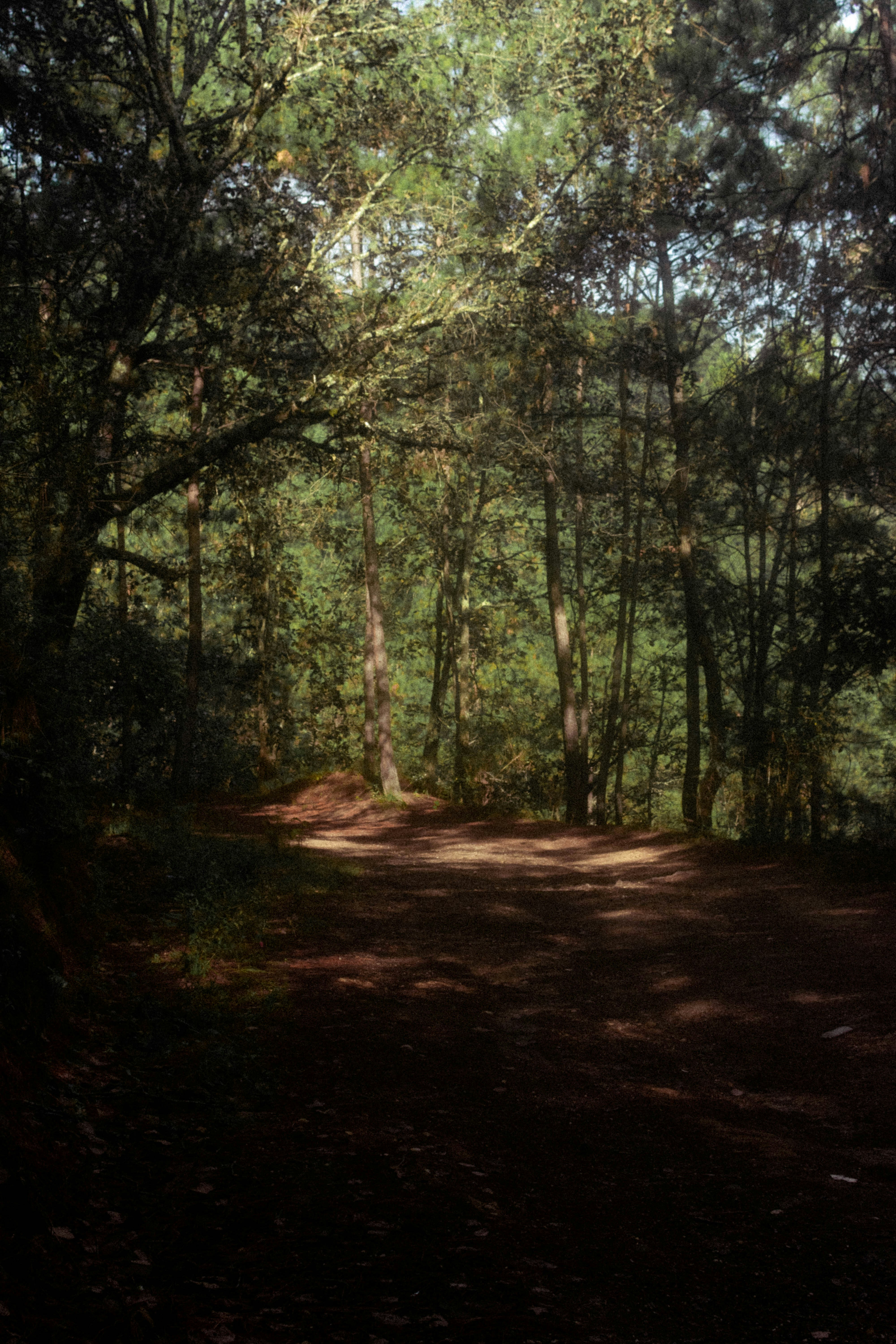 Photo by arlethmaria