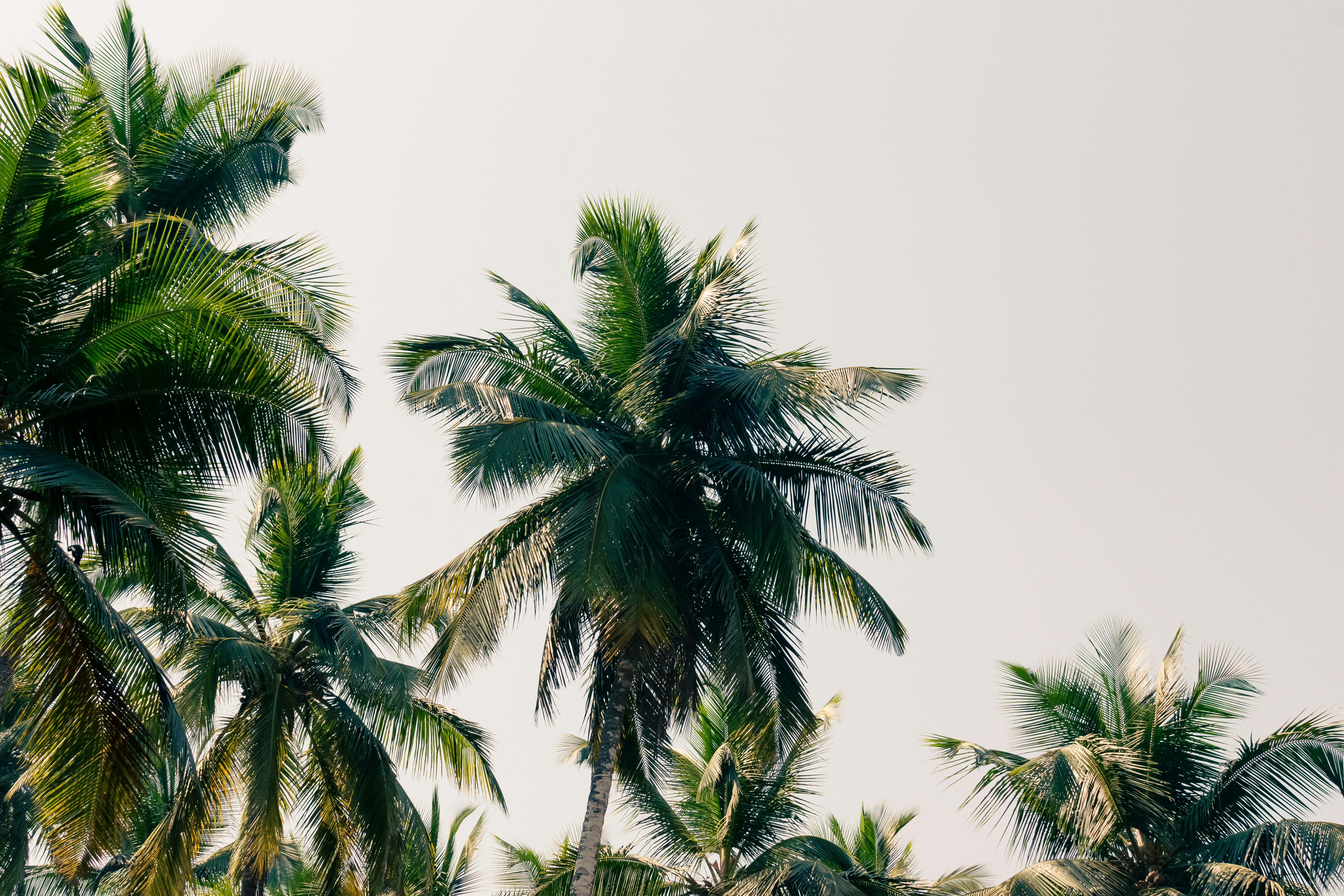 Photo by airinblanco