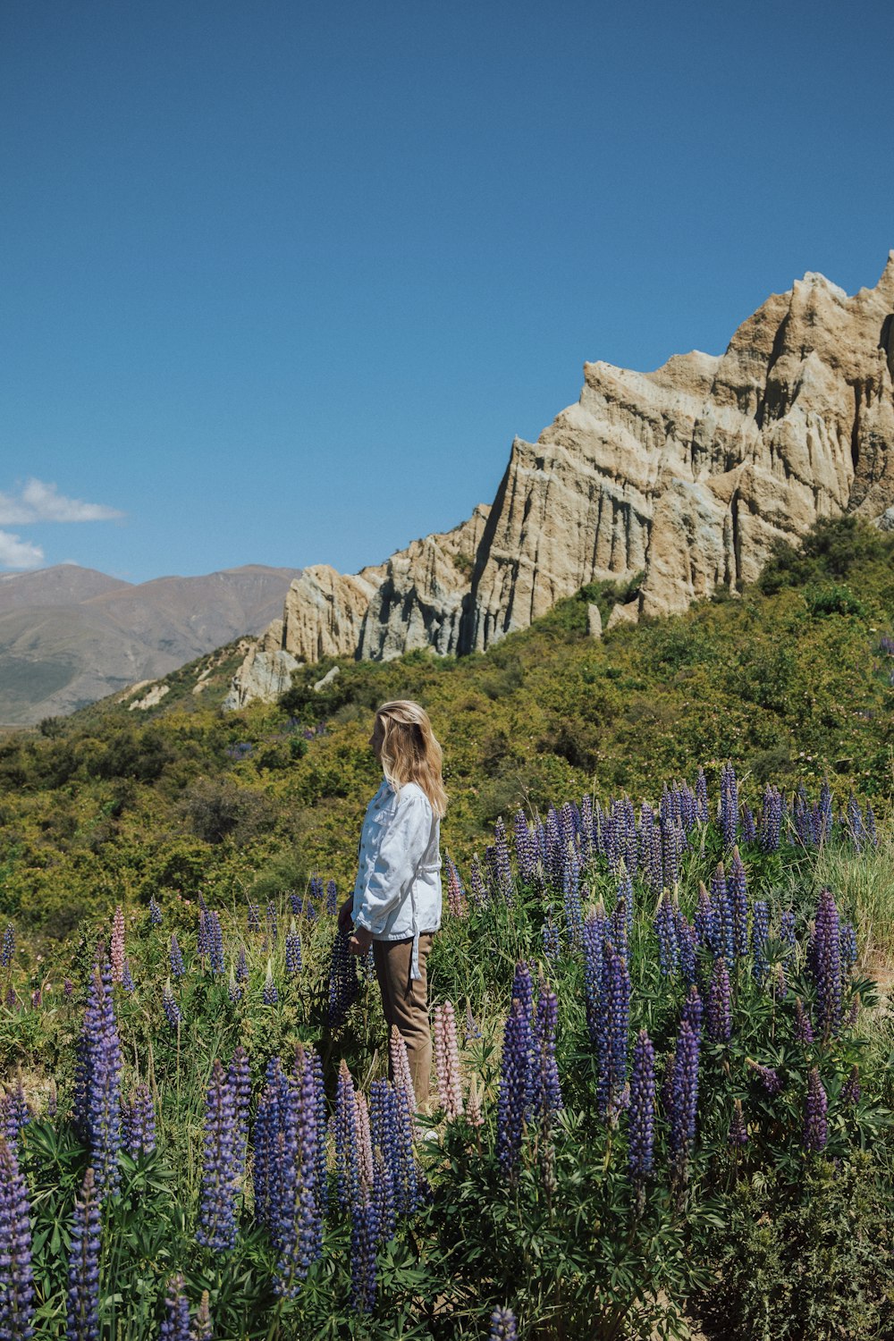 a woman standing on top of a lush green hillside