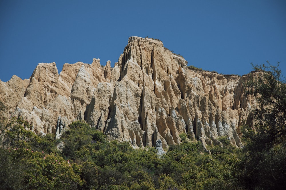 a very tall mountain with some trees around it