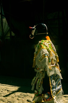 A person is dressed in a vibrant, elaborate costume featuring intricate beadwork, tassels, and various colors. The costume appears to be traditional or cultural in nature, with a mask that adds a mysterious element.