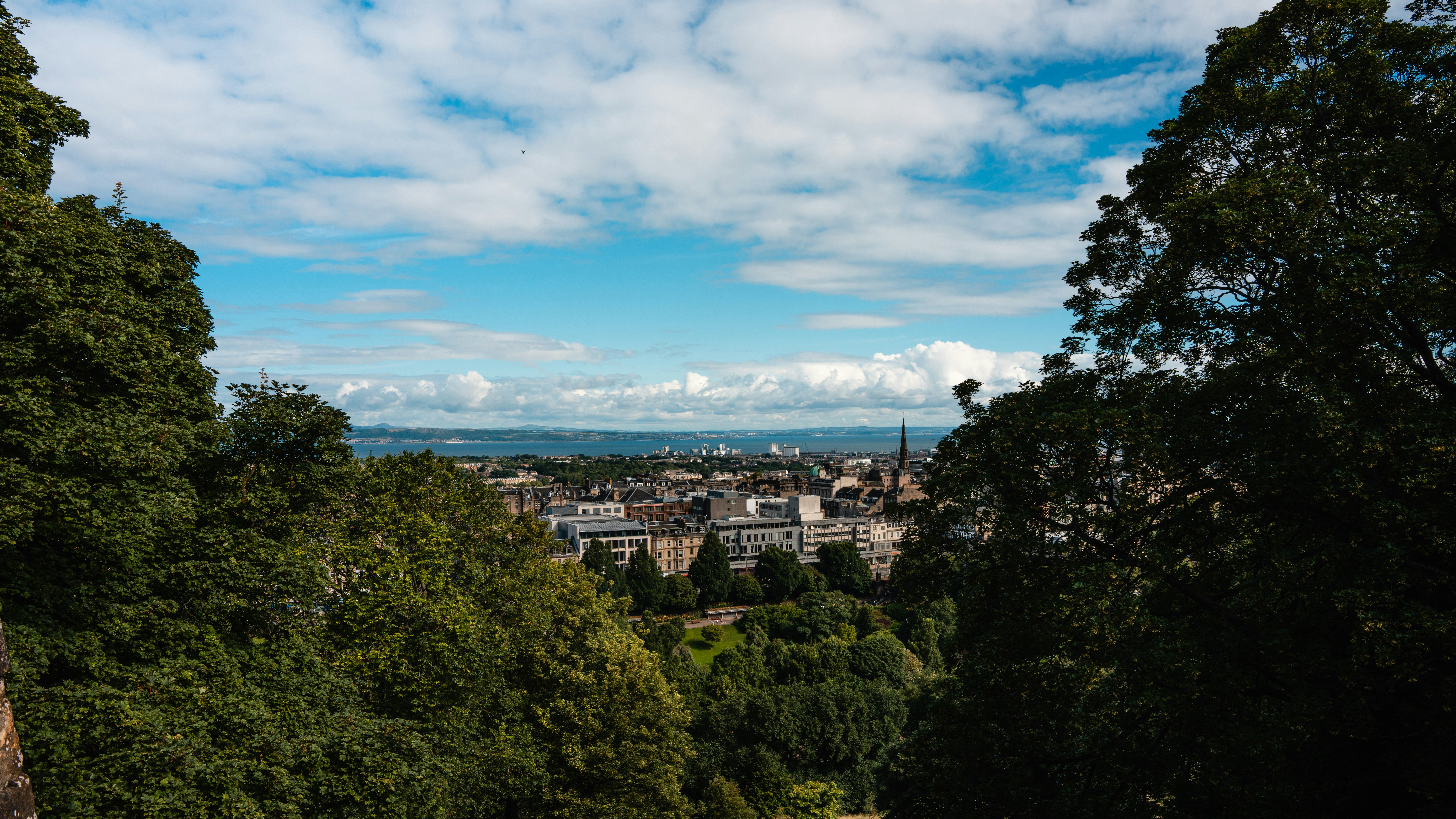 Photo by winstontjia