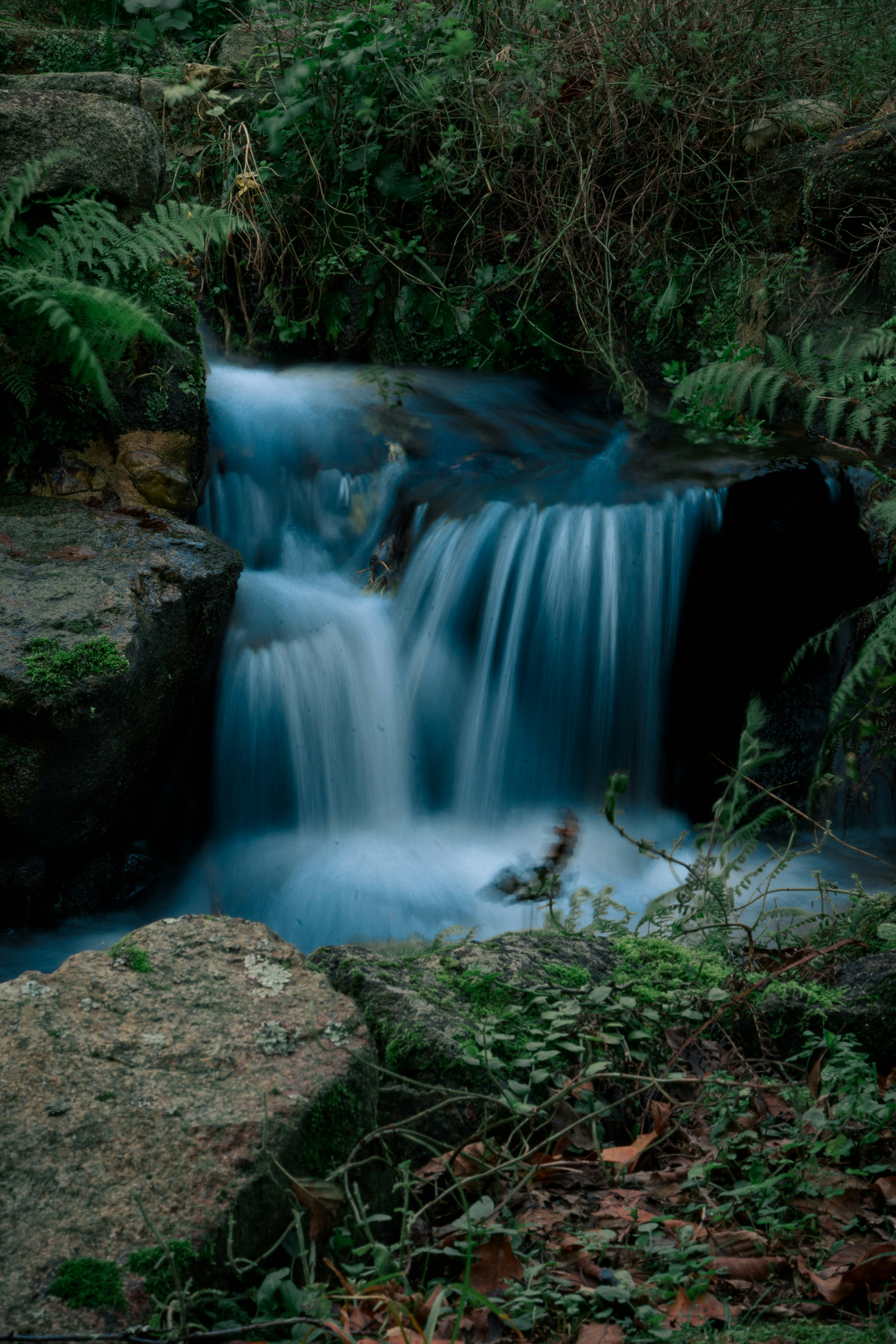 Photo by denx_street