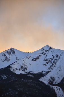 Snow-capped mountain peaks are silhouetted against a soft, warm-toned sky. The lower slopes are covered in dark green coniferous forest, suggesting a serene and tranquil natural setting.