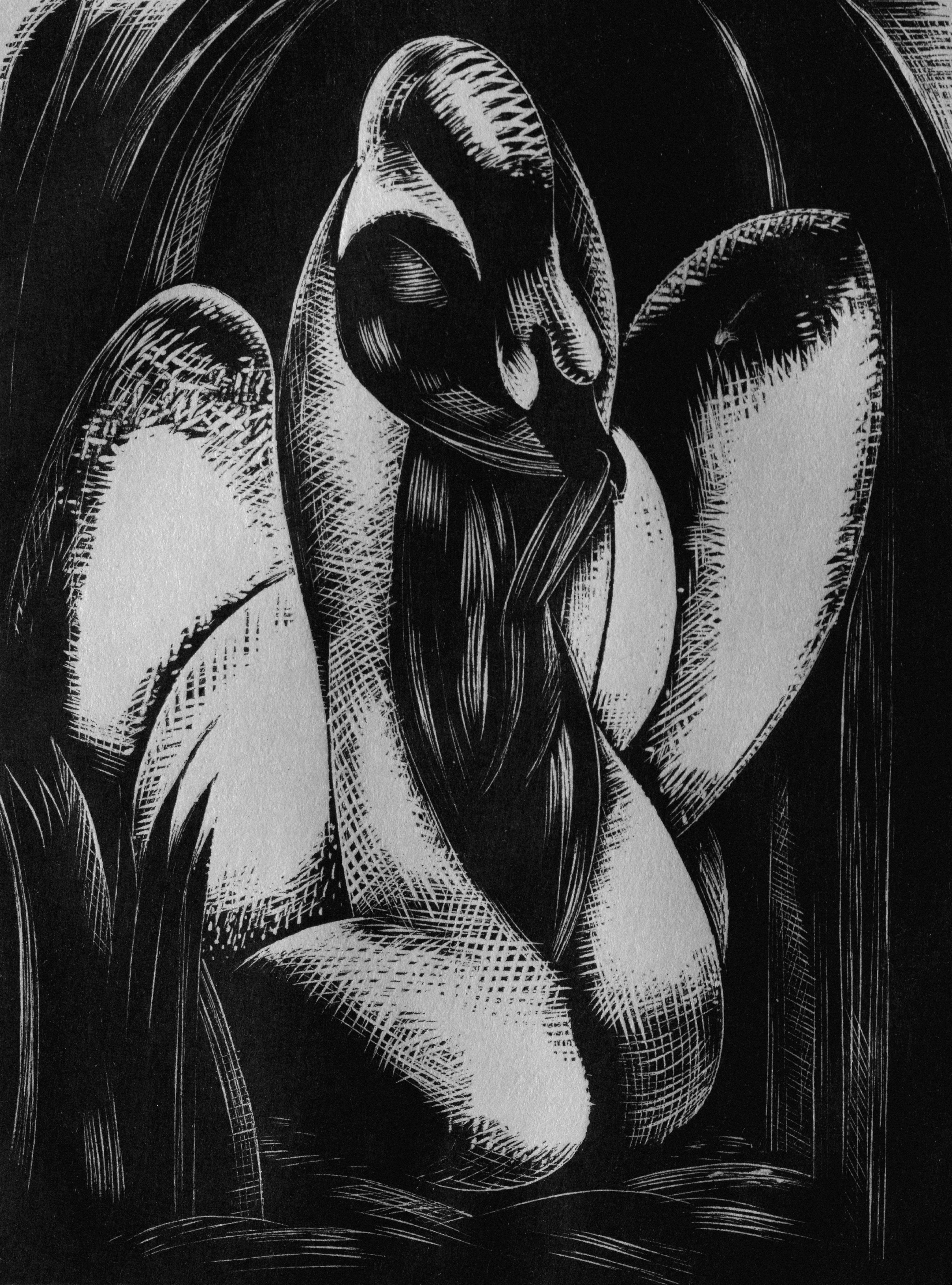 Photo by clevelandart