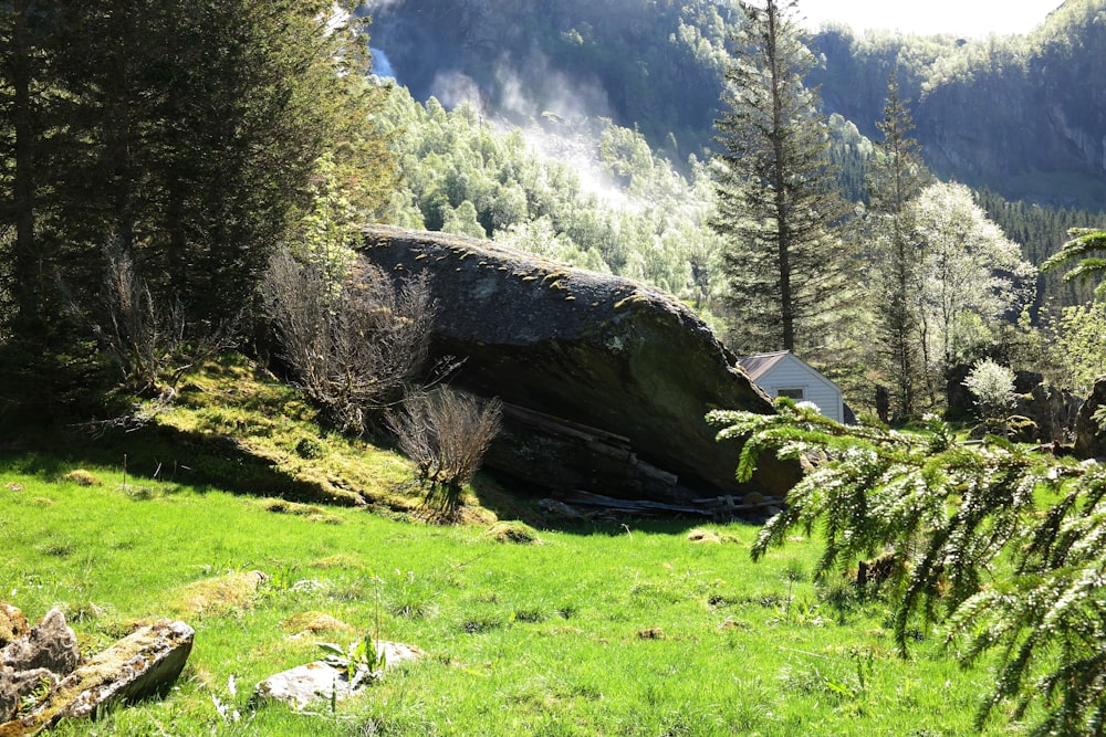 a large rock in the middle of a grassy field