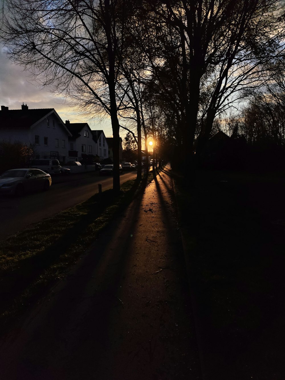 the sun is shining through the trees on the side of the road