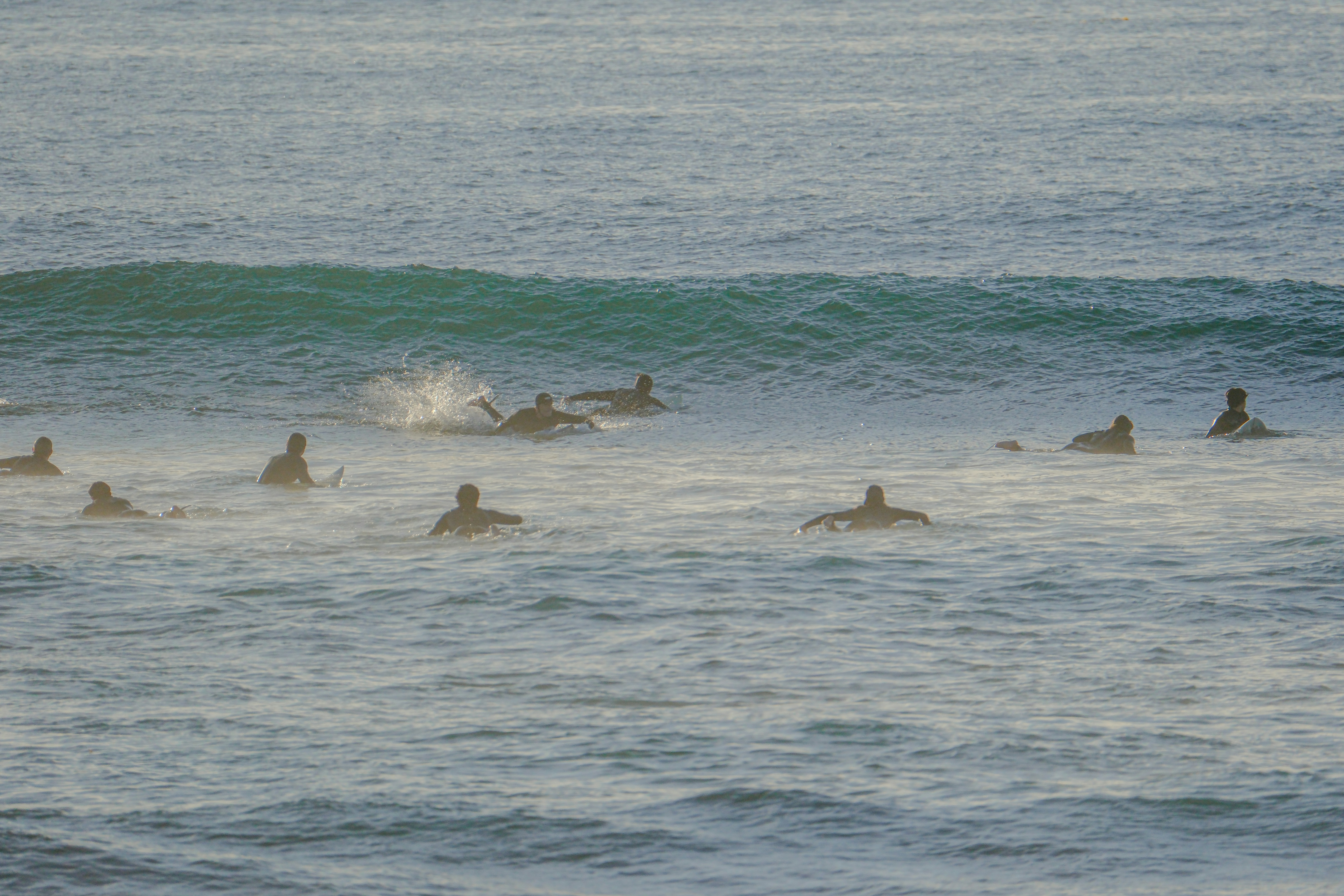 Photo by cestmoisheedy