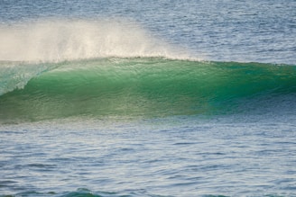 A powerful ocean wave with a cascading curl and clear, greenish-blue water. Sunlight illuminates the crest, creating a spray of fine mist.