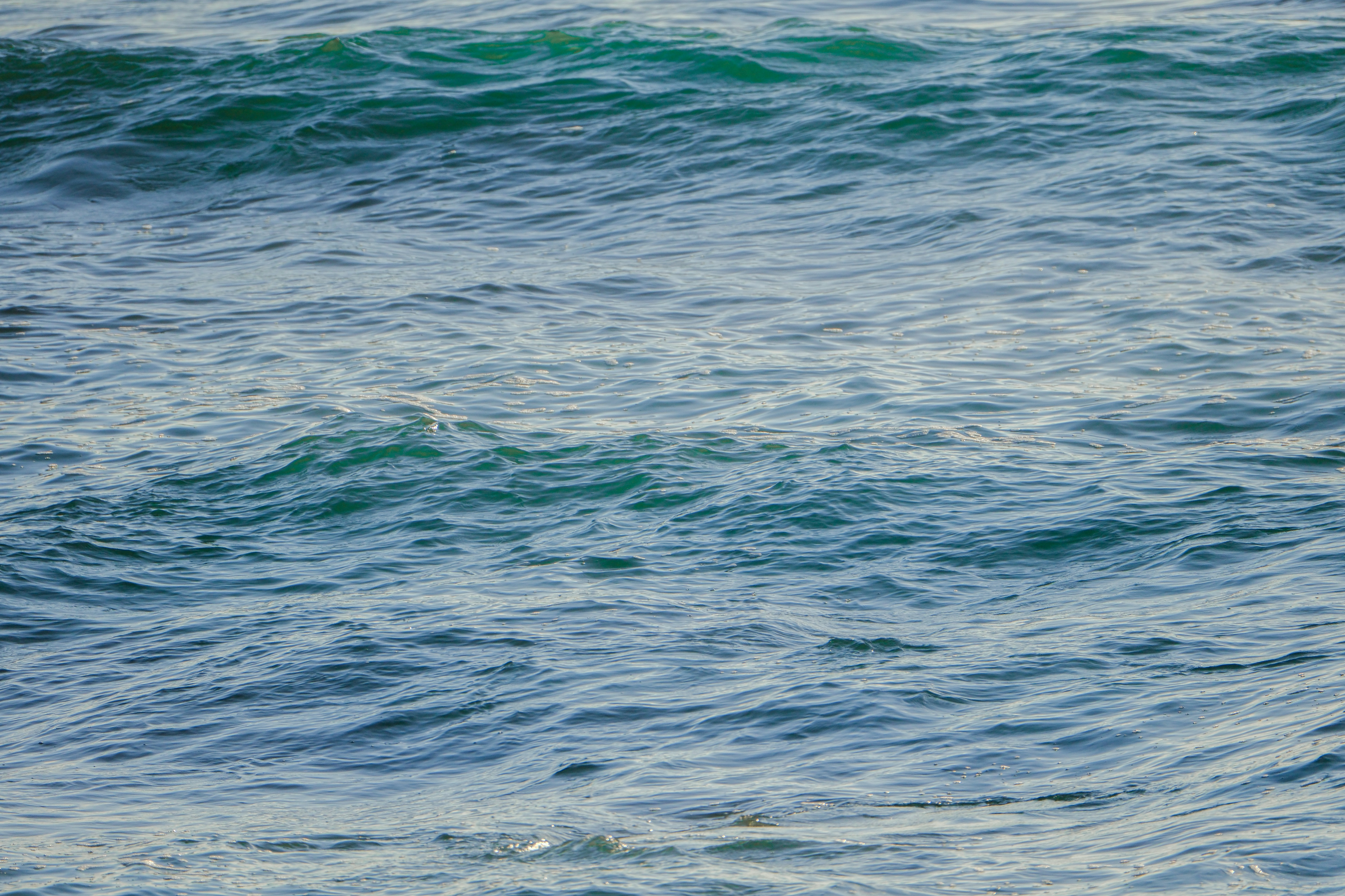 Photo by cestmoisheedy