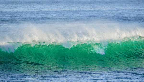 A calm blue ocean wave symbolizing resilience and growth.