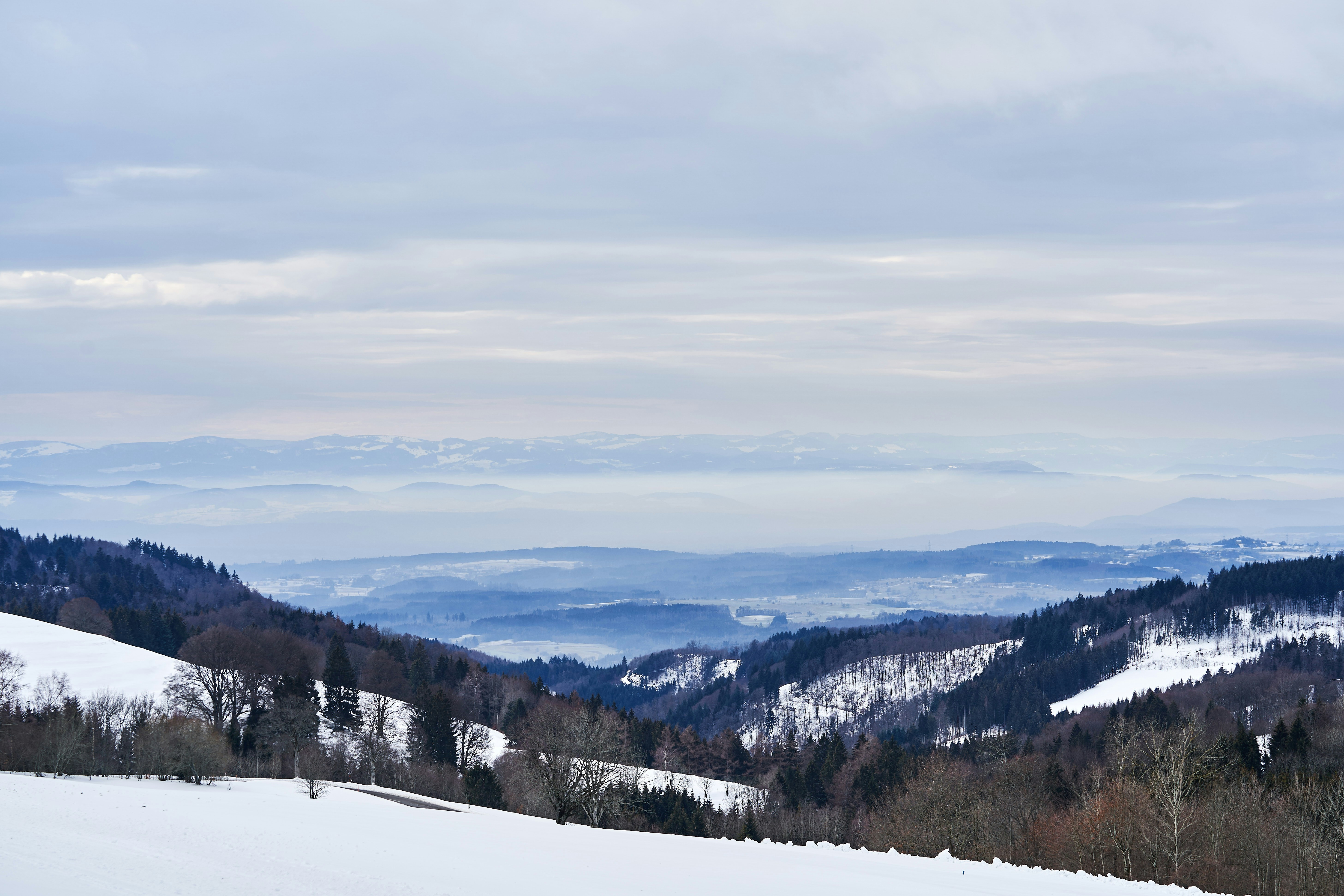 Photo by wolfgang_hasselmann