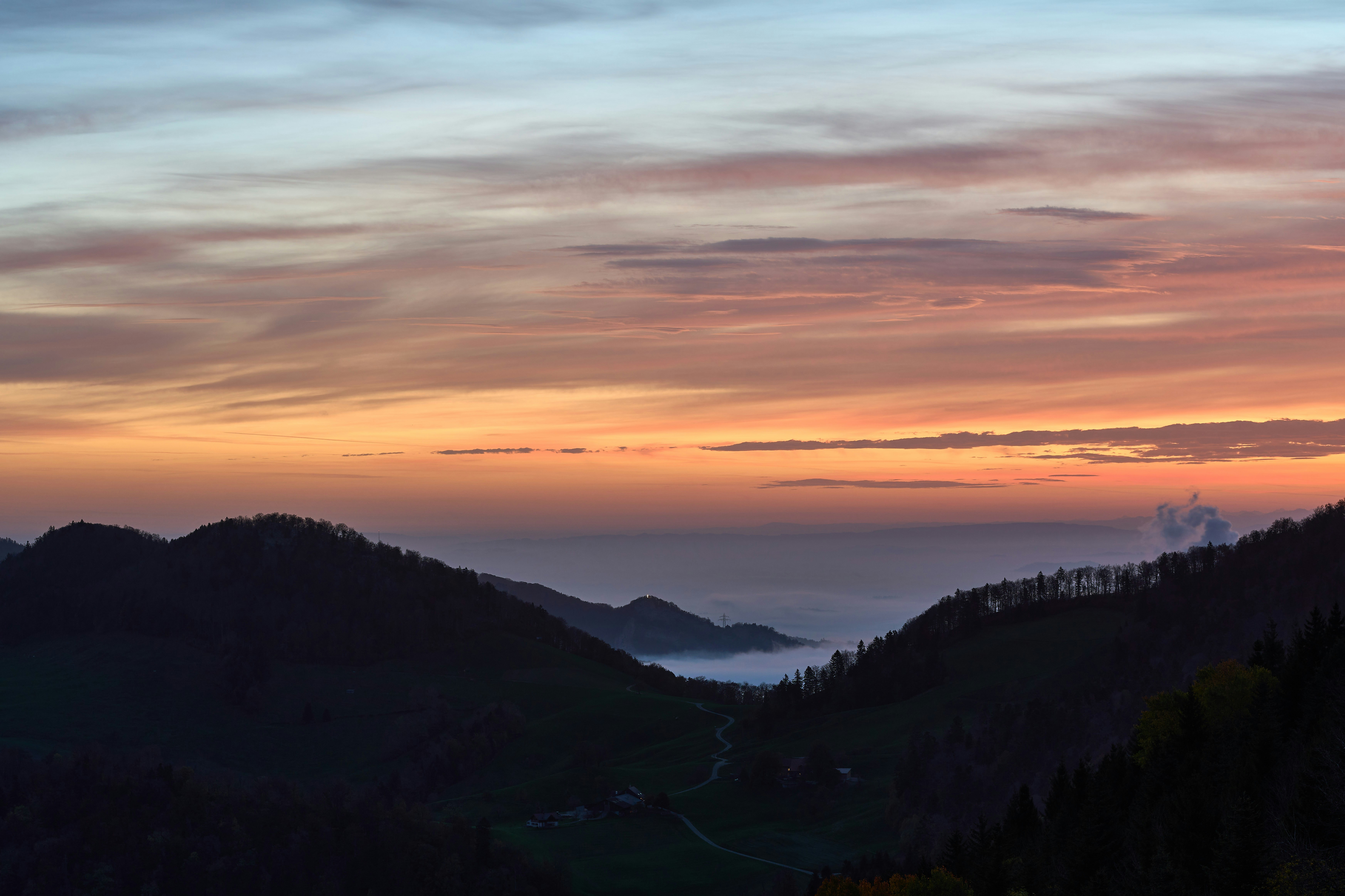 Photo by wolfgang_hasselmann