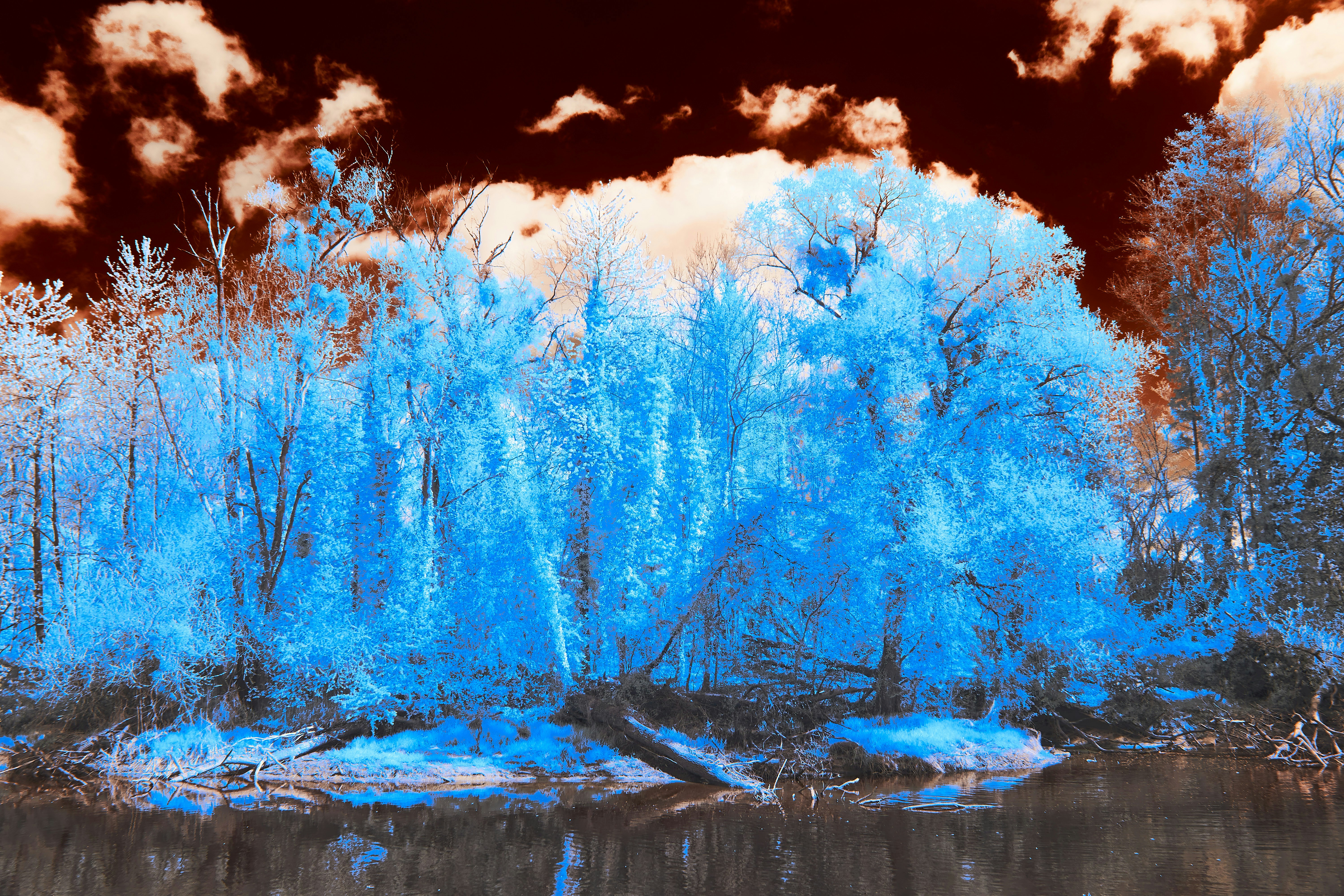 Photo by wolfgang_hasselmann