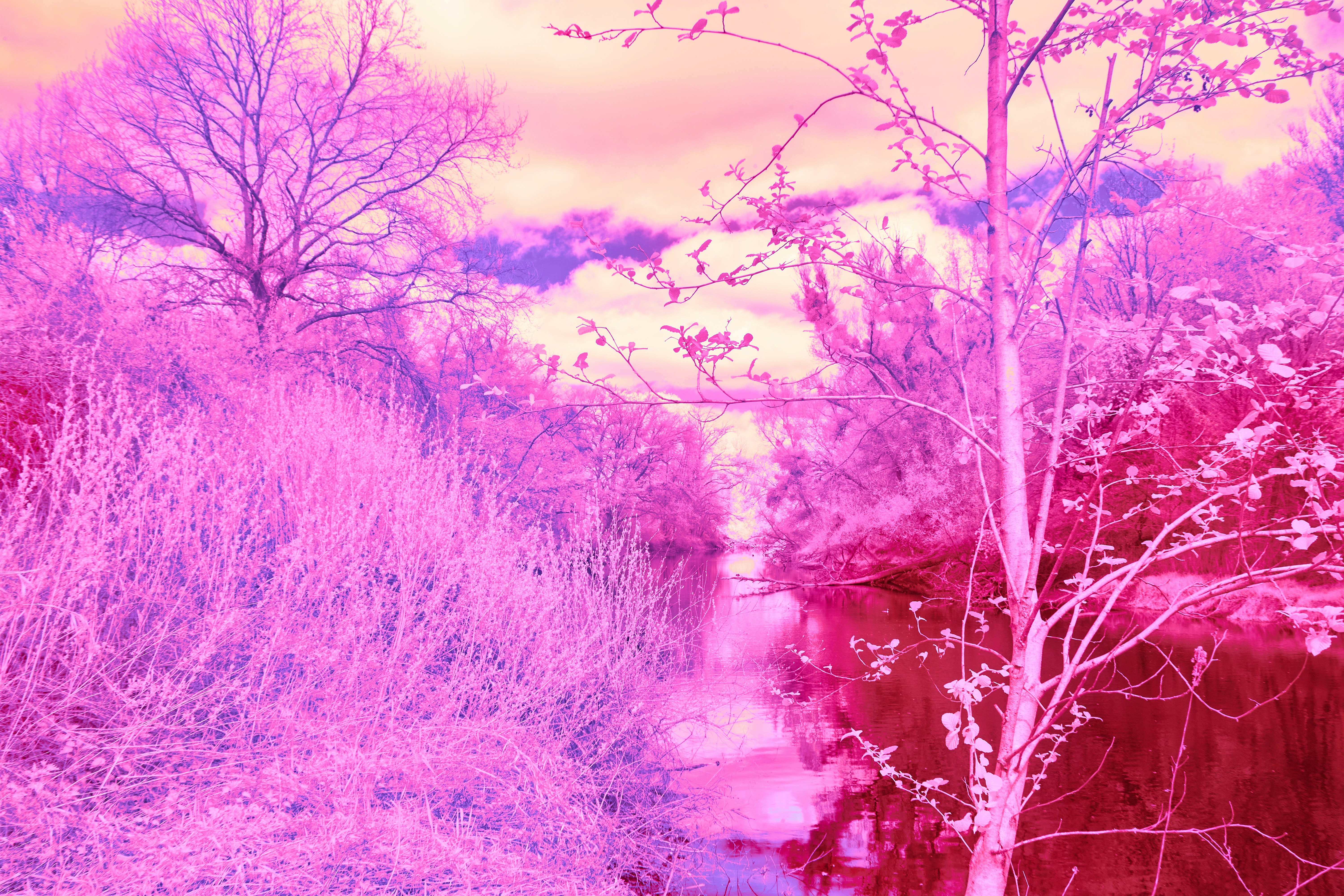 Photo by wolfgang_hasselmann