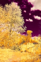 Close-up of a colorful forest scene printable with animals ready to be colored.